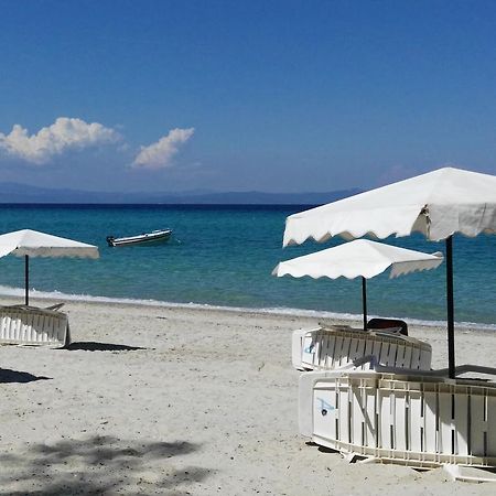 Ariadni -Villas- Luxury Houses クリオピギ エクステリア 写真