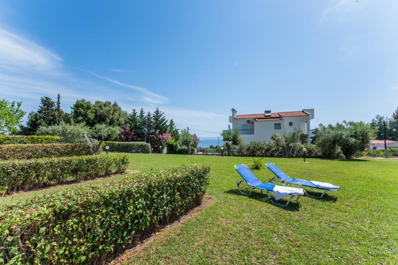 Ariadni -Villas- Luxury Houses クリオピギ エクステリア 写真