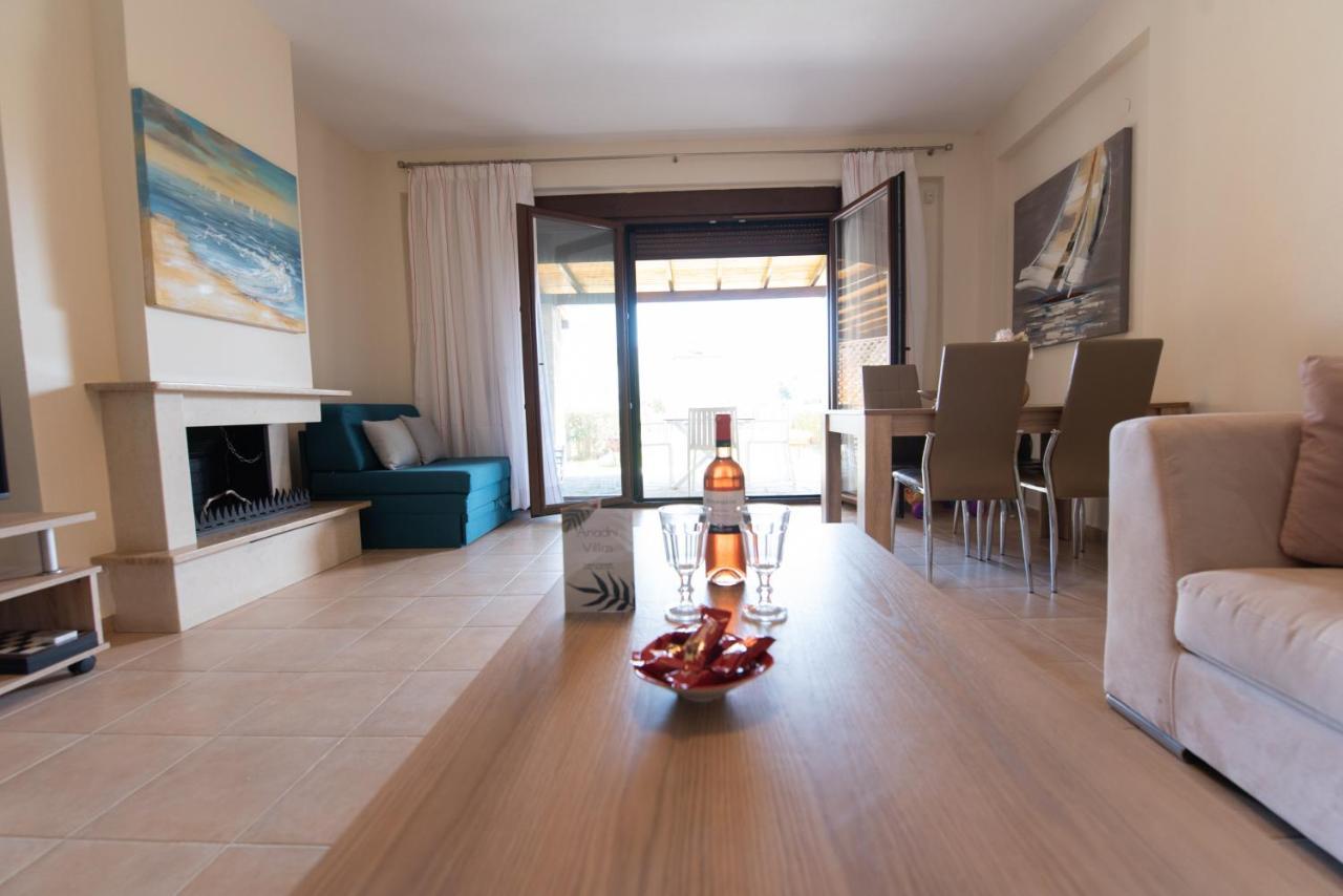 Ariadni -Villas- Luxury Houses クリオピギ エクステリア 写真