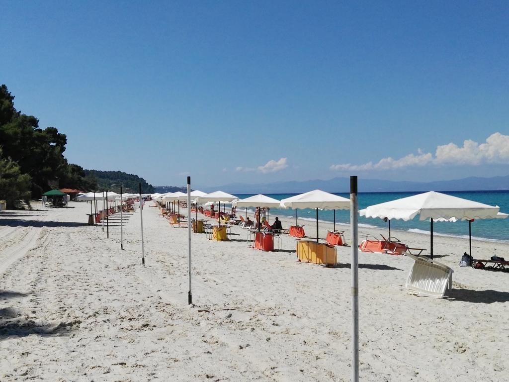 Ariadni -Villas- Luxury Houses クリオピギ エクステリア 写真